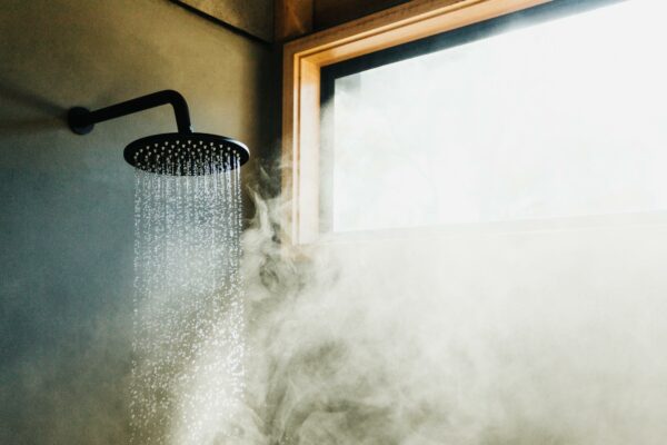 Bay of Fires Bush Retreat Bathroom Shower