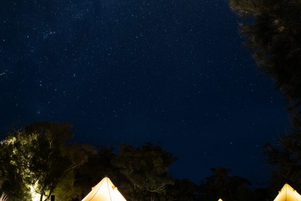 Bell Tents at Night Bay of Fires Bush Retreat